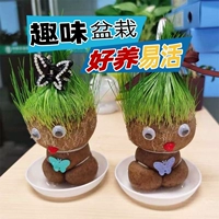 Куклы с травяной головой легко поднять и оживить.