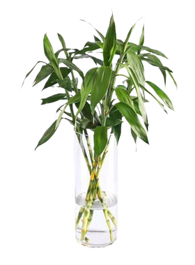玻璃创意花瓶摆件|超2.7万次加购