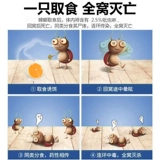 Настоящее лекарство от тараканов для домашнего использования, нетоксичная универсальная клеевая приманка для дома, кухня, чтобы убить маленького врага тараканов