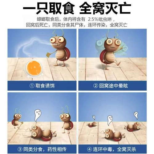 Таракана, убивающая медицину, искренняя домашняя крытая нетоксика, целое гнездо.