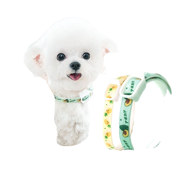 Dog repellent neck collar, insect repellent and mosquito repellent