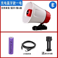 Модель модели зарядки Bluetooth (одна мощность и один заряд)
