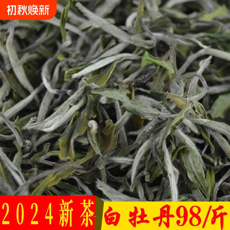2024 Mingqian Fuding Old White Tea White Peony, One Bud and Two Leaves, Loose-Packed Fuding White Tea White Peony, 500 Grams 2024 Mingqian Fuding Old White Tea White Peony, One Bud and Two Leaves, Loose-Packed Fuding White Tea White Peony, 500 Grams