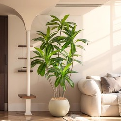 Artificial Green Plant Brazilian Wood Fake Plant Accessible Luxury Fancy Decorative Indoor Floor Potted Plant Living Room Fake Tree Bionic Flower
