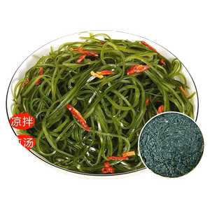 首单直降霞浦海带丝海带干压缩烘干出口无沙免洗泡发凉拌批发整箱