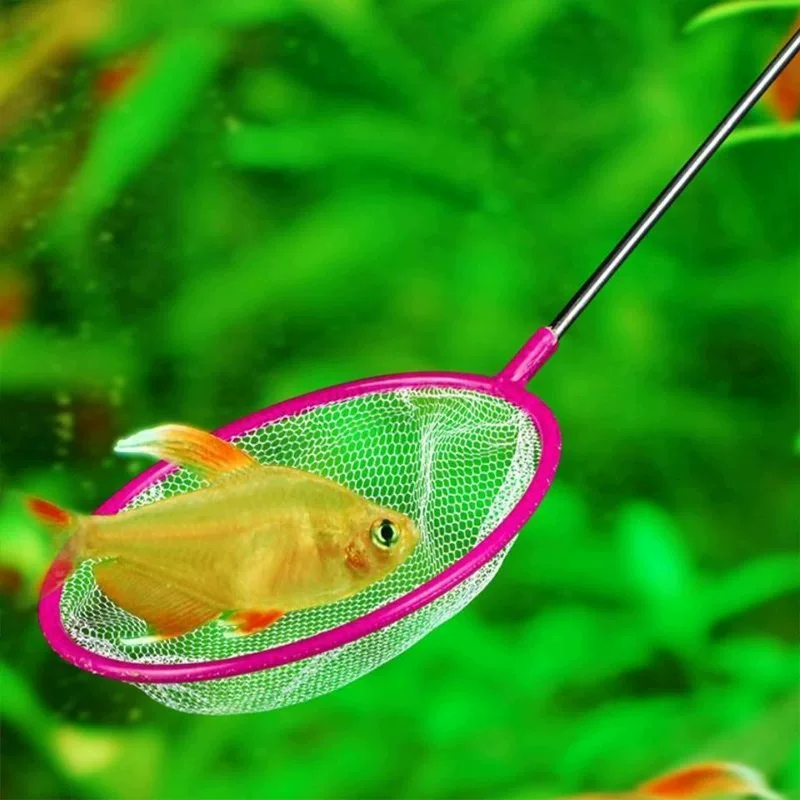 Аквариумная сеть Laoyu.com, Золотая рыба, Рыбная сеть, Fish.com, Handwin Net, Shrimp.com, Дианьсуан, рыбалка улов, маленькая рыбка лощая