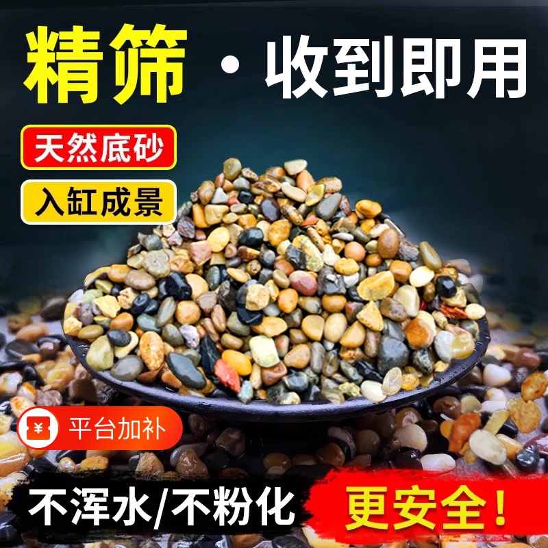 Stream Gravel for Fish Tank Bottom, Native Stream Sand, Aquatic Plant Tank, Turtle Tank Landscaping, Pebbles, Aquarium Bottom Volcanic Stone Stream Gravel for Fish Tank Bottom, Native Stream Sand, Aquatic Plant Tank, Turtle Tank Landscaping, Pebbles, Aquarium Bottom Volcanic Stone