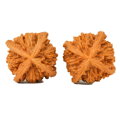 福瑞堂拼接王勇官帽四棱核桃