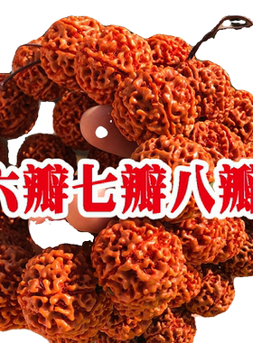 印尼大金刚菩提手串落地红爆肉