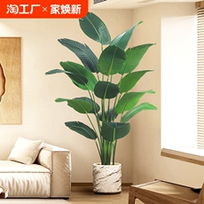 бонсай 旅人蕉仿真绿植天堂鸟落地盆栽室内大型仿生绿植客厅摆件假花摆设