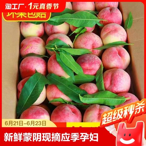 Свежий персик -монгольский инь персич теперь показывает, что персики персики должны быть беременными женскими хрустящими сладкими персиком 5 фунтов в сезон