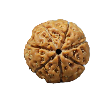 印尼精品大金刚菩提子手串姜黄皮七瓣满肉原籽佛珠手链爆肉双龙纹