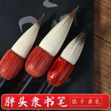 Wensu Tang Bi Bi Shu Lishu, посвященная чесночной ручке, Cao Quanbei использует ручку и каллиграфию толстую голову, напишите маленького ученых -волка, большой большой сценарий, китайская живопись, небольшой овцы кай -волков.