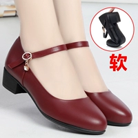 Y-376 Wine Red (высота 3 см)