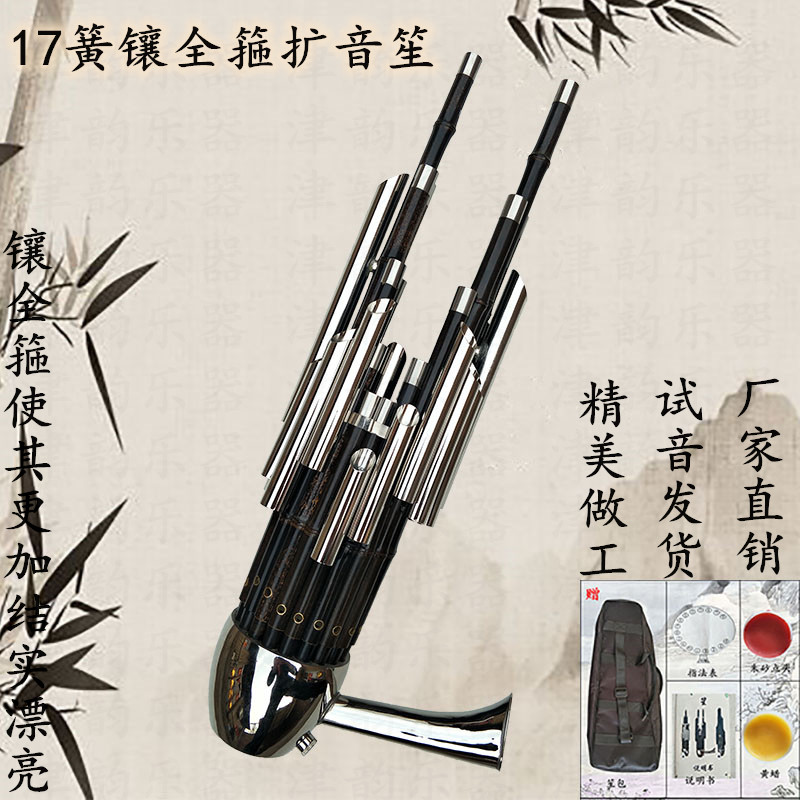 17 Spring Amplifying ShengSheng Musical Instruments 17 spring  Ebony Sheng foot high-grade major adult student beginner introduction DC transfer circular Sheng