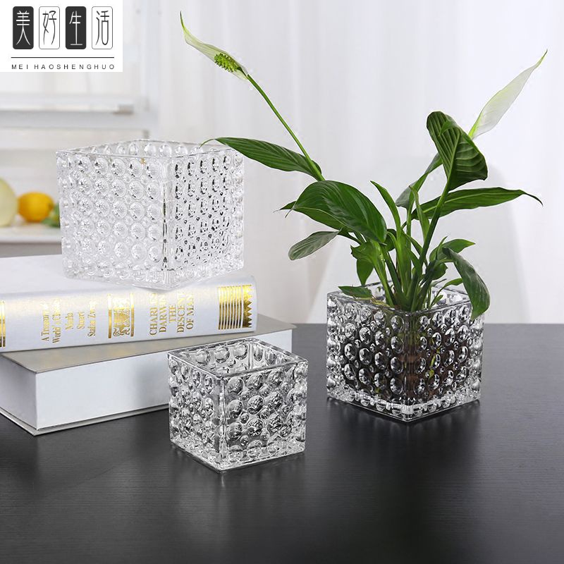 Home Brief thickened glass vase Gold Ge hydroponic green plant floral floral room tea table decorative process pendulum