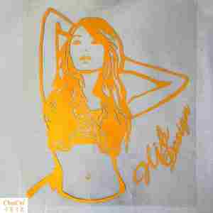 【大车贴个性货车车贴纸拉花价格】最新大车贴