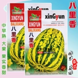 Семена дыни Балисян, среднеранние, высокая урожайность, устойчивость к болезням, кожица сахарного цветка, семена плодов дыни с высоким содержанием сахара, весенний посев.