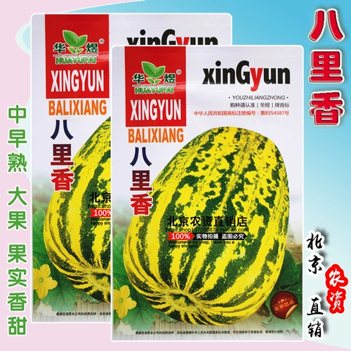 Семена дыни Балисян, среднеранние, высокая урожайность, устойчивость к болезням, кожица сахарного цветка, семена плодов дыни с высоким содержанием сахара, весенний посев.