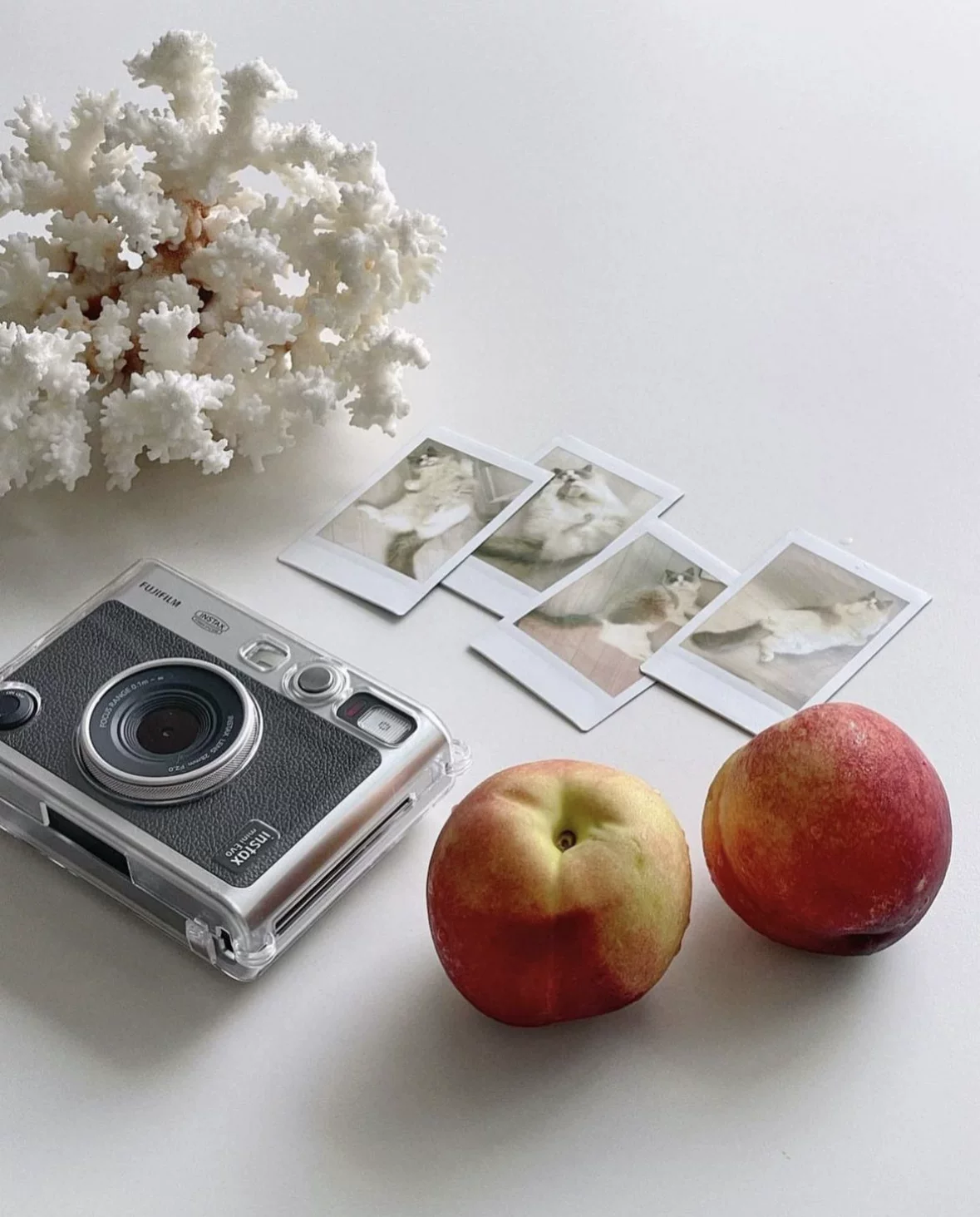 Fuji Instax mini 99 retro shooting a imaging camera mini EVO