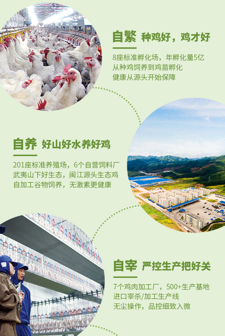 圣农 新鲜冷鸡全腿 超大鸡腿 6斤整箱 图6