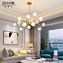 Nordic living room chandelier post-modern light luxury modern simple personality creative molecules bedroom restaurant magic bean lamps