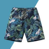 2206-2 Лилия Лилия [основные четыре стороны]