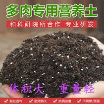 Multi-meat Plant Granular Earth Master Jade Truffle Raw Stone Flowers Small Fry Old Pile Universal Earth Green and Flower Vegetable Nutritional Earth