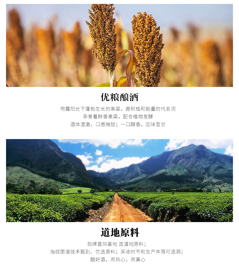 中国劲酒 滋补抗疲劳保健酒 超大桶家庭装 5L 图4