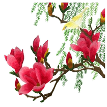 Embroidery diy material bag handmade Chinese style Su embroidery diy beginner kit with stitch blended fabric hand embroidery