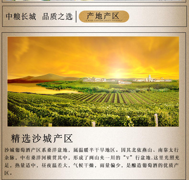 中粮长城 莎当妮干白葡萄酒 750ml*6支 图5