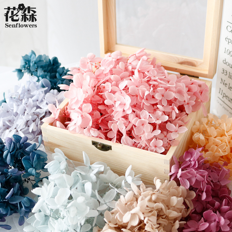 Preserved Flower Hydrangea Domestic 20g DIY Decoration Holiday Flower Box Glass Cover Handmade Material Kit Preserved Dried Flowers