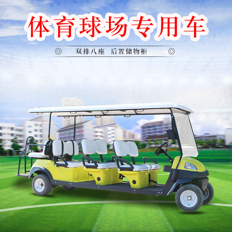 Double Glow 8 Seats Ball Cars Golf Four Wheels Electric Sightseeing Bus Double Seat Wind Park Hospitality Car Manufacturer Direct
