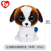 [Средний] Герцог, коричневое белое тело (день рождения 5.20)