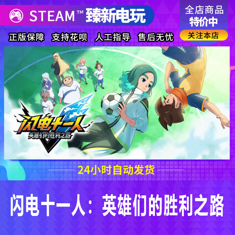Steam Game Eletric Eleven: the Heroes' Path to Victory, China Region Gift Activation Code Cdk