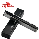 天鹅 24 Kong Pinyin Расходы Piano A/B/C/D/F/G/A#/C#/C#/D#/F#/G#12 настроил полный набор музыкальных инструментов