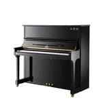 威利斯 /Академия музыкальной коллекции Willis Piano L-126 Professional Performance упражнения