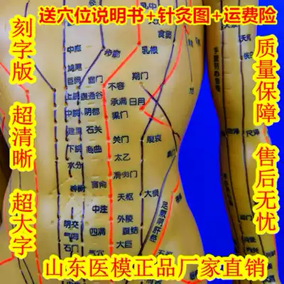 Human Bronze Man Traditional Chinese Medicine Acupuncture Model Meridian Model Human Meridian Model Meridian Acupoint Model Human Acupoint Model