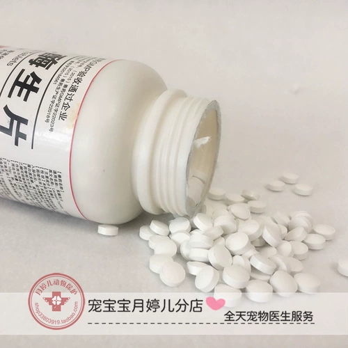 Вся бутылка лактазы сырой 1000 таблеток с разбавленной диареей мягкие фекалии, собачья кошка, медицина кролика, тоторо, церковный дельфин, хомяки Энтерит Энтерот медицины