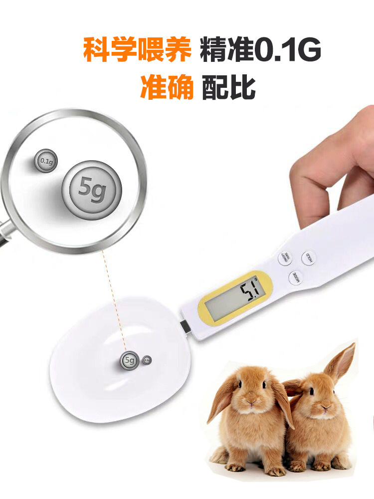 Z 14 Spoon Scales Scientific Matching Pets Called Daily Eating Dog Cat Rabbit Dragon Cat Guinea Pig Hamster Flowers