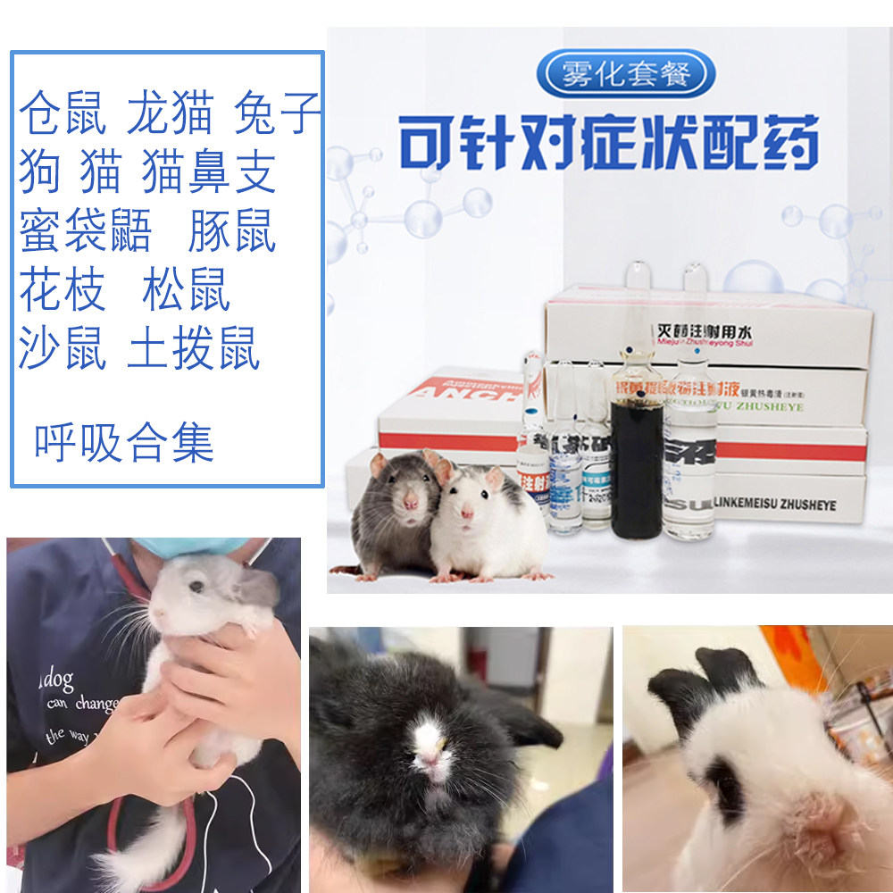 兔子仓鼠猫鼻支呼吸道鼻炎肺炎雾化打喷嚏泫鼻涕豚鼠龙猫金丝熊
