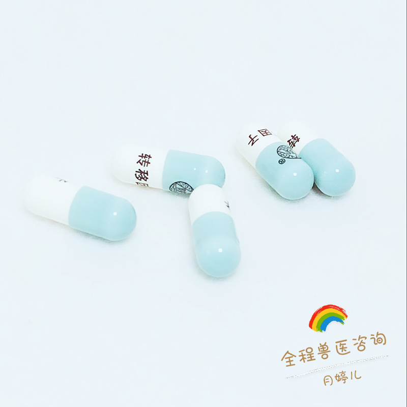 Transfer Factor 6 Grain Split small darling Care Dermatitis Skin Neoplasia Rabbit Guinea Pig Dragon Cat Barn