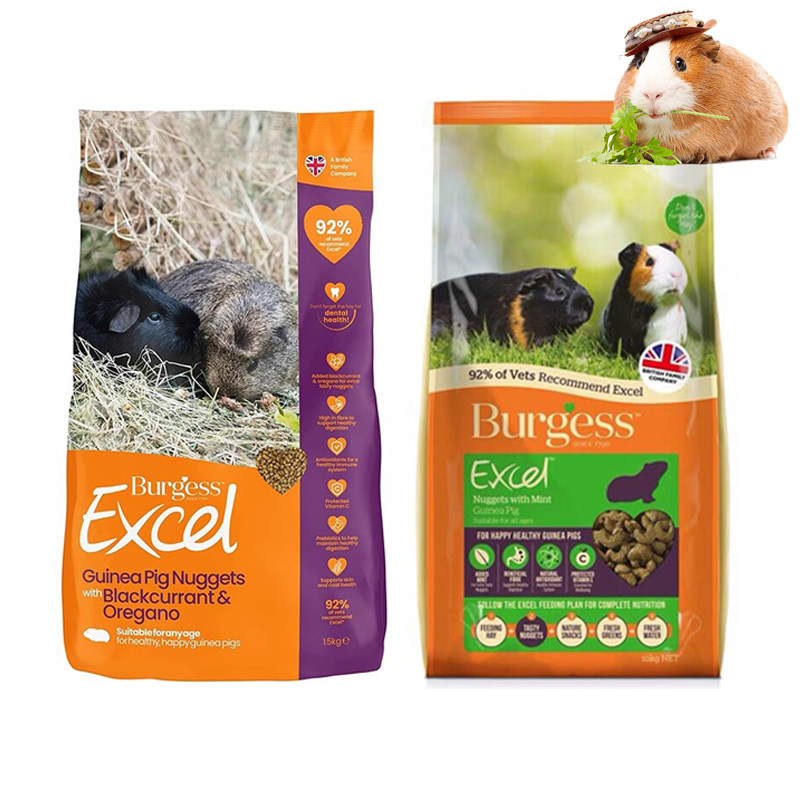 布格斯黑加仑荷兰猪粮豚鼠主粮天竺鼠Burgess幼年成年通用1.5公斤