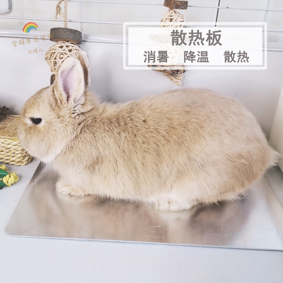 Heat dissipation plate cooling plate-rabbit-hedgehog guinea pig squirrel dragon cat cold plate over summer P27