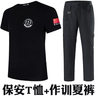 Летние боевые брюки Security T+