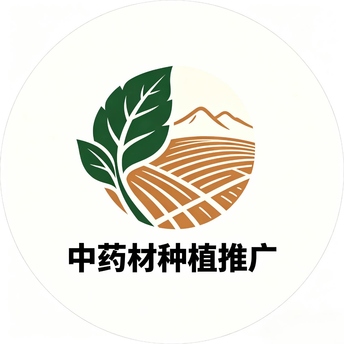 中药材种植推广
