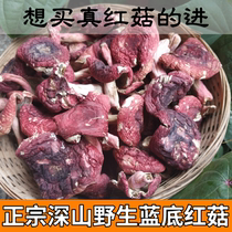 2020 Guangxi red mushroom dried wild authentic red mushroom premium natural red vertebral mushroom Shiitake mushroom pregnant woman moon 100g