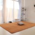 Toàn bộ cọ núi nệm 1.2m1.5 1,8 mét thảm mỏng cứng nhắc giường trẻ em cọ mat kinh tế - Thảm thảm trải nền nhà Thảm