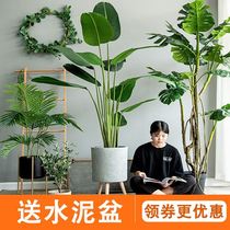 Green plant Nordic ins wind simulation green plant potted large gardening bird of paradise potted ornaments living room floor green plant