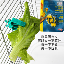 HAGEN Hagen Halli Multifunction Plastic Fruit Vegetable Clips Rack Bird Cage Parrot Cage Accessories Supplies Toys